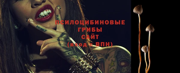 ПСИЛОЦИБИНОВЫЕ ГРИБЫ Киренск