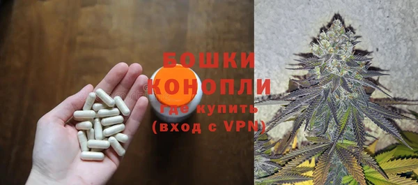 ПСИЛОЦИБИНОВЫЕ ГРИБЫ Киренск