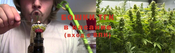 ПСИЛОЦИБИНОВЫЕ ГРИБЫ Киренск