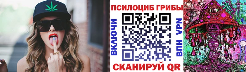 Псилоцибиновые грибы Cubensis  Купить  Лаишево 