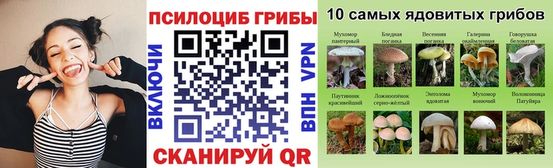 Псилоцибиновые грибы прущие грибы Лаишево